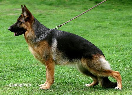 Olina vom Holtkämper See