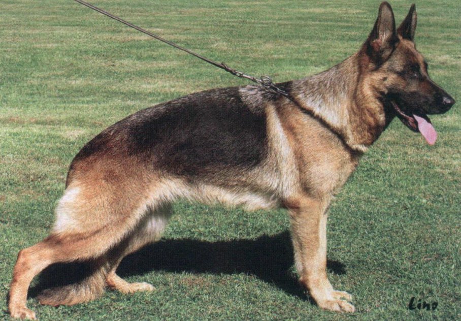 Ussi vom Römersteig