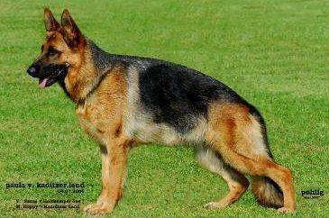 Paula vom Kaditzer Land