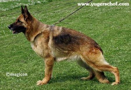 Katja vom Haus Carrara