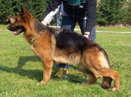 Peggy dell' Alto Pino