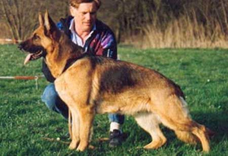 Warinka von der Wienerau