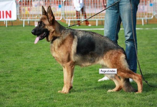 Emka du Pavillon Chinois