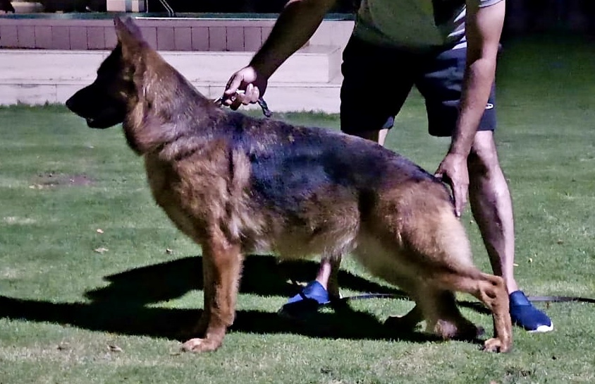 Chelsea vom TM Farms