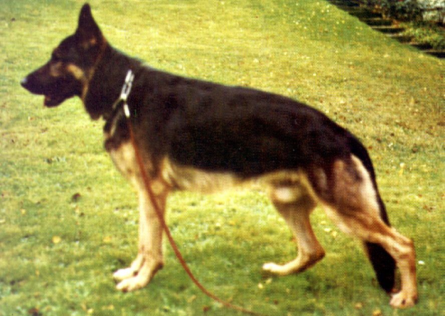 Veus von Ecclesia Nova