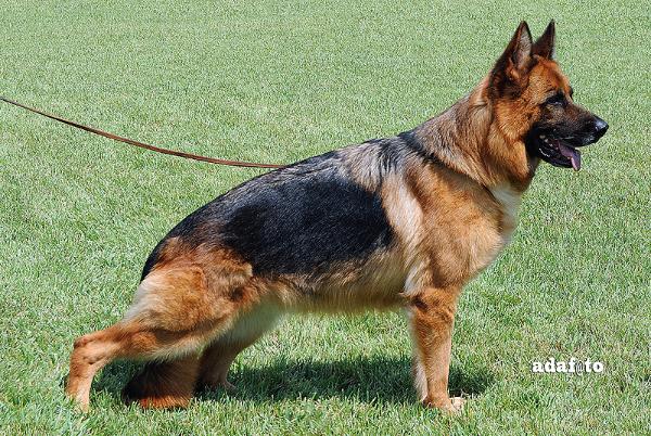 Yasmin del Rione Antico