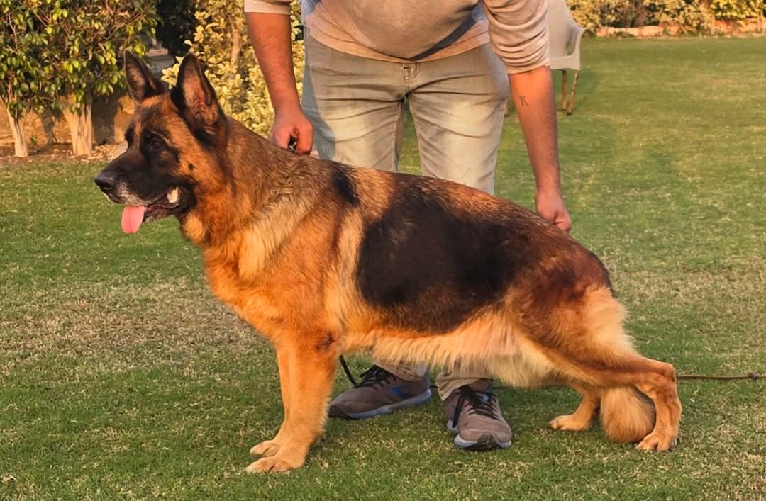 Claudia vom Team Haus Jackson