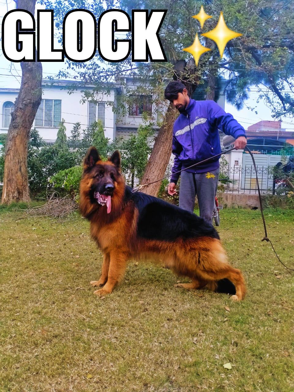 Jaggah vom Titus Batiatus