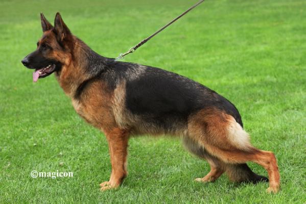 Oililly von der Piste Trophe