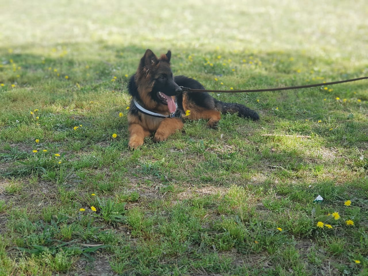 Ramos od Stojkovića