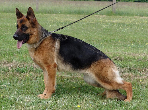 Pippi vom Frankengold