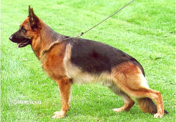 Naxos vom Holtkämper See