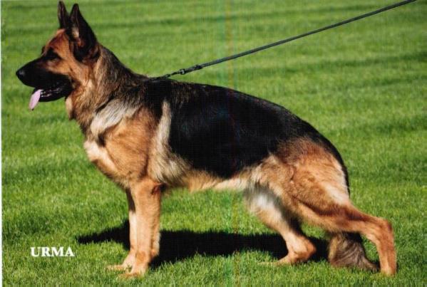 Wanja von der Wasserkuppe