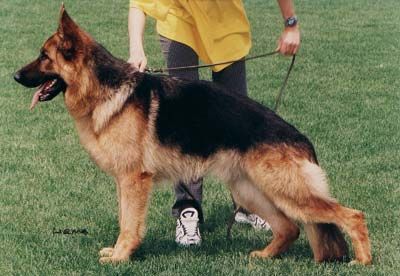 Gerry von der Malchower Aue