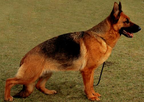 Evita van de Zomerdijkslanden