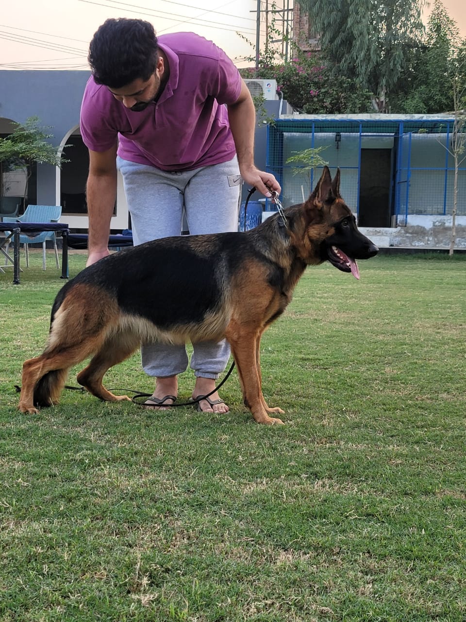 Spoidy vom Team Friends