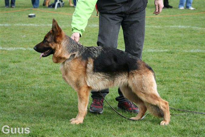 Lana vom Germannshof