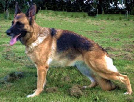 Katrin vom Butjenter Land