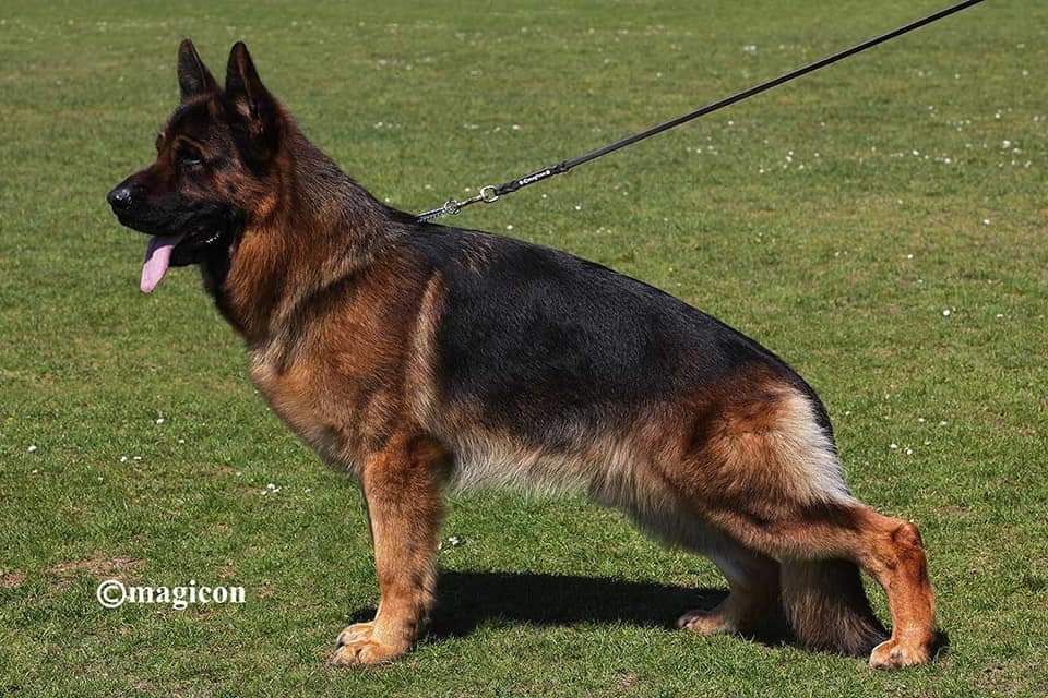 Uvo dell'Alto Ofanto