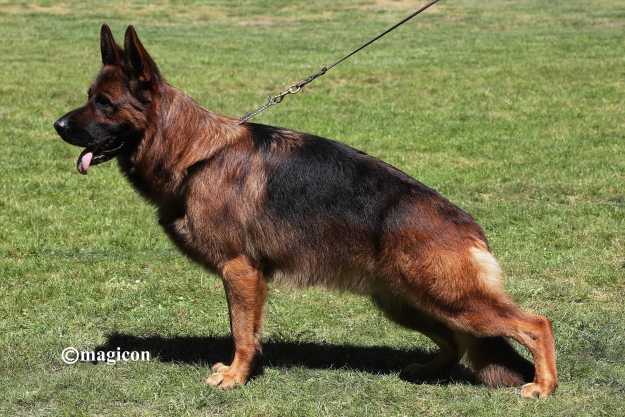 Udro vom Team Panoniansee