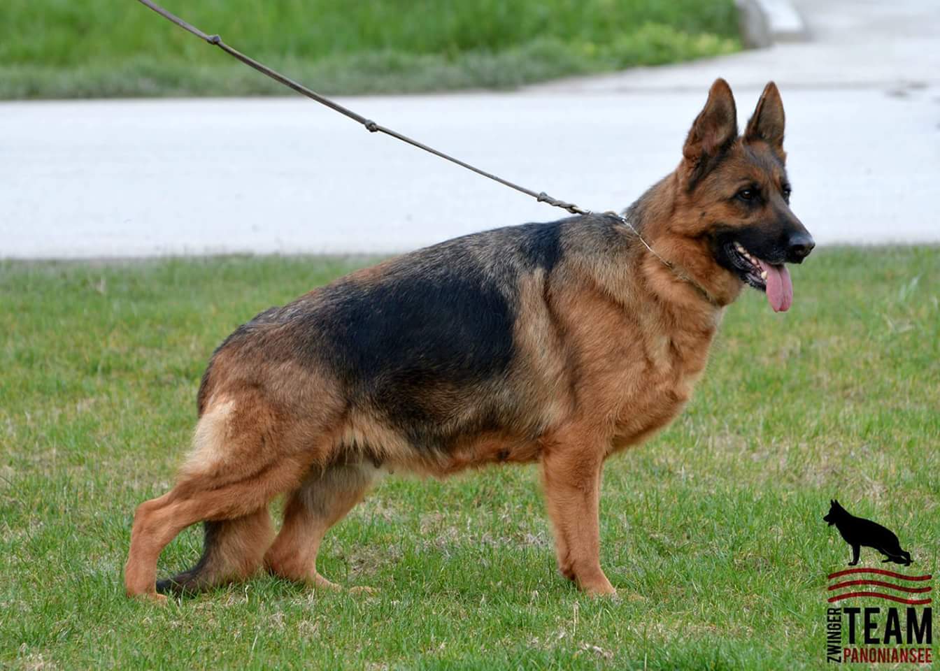 Bella vom Team Panoniansee