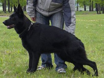 Ekslibris Fal'ko Rus Naomi