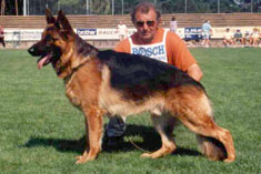 Gundo de Franquieres