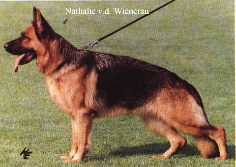 Nathalie von der Wienerau