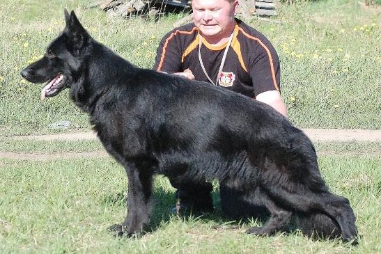 Teufenland Ekskluziv