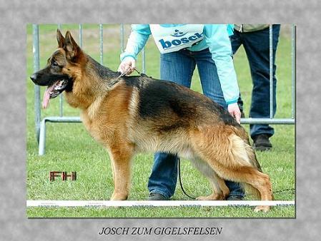 Josch zum Gigelsfelsen