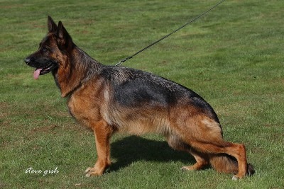 Idanja vom Holtkämper Hof