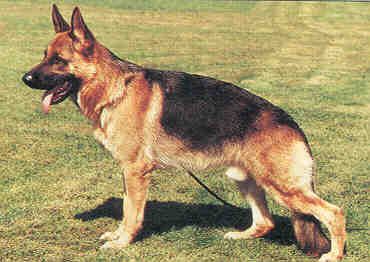 Vatikan von Bad-Boll