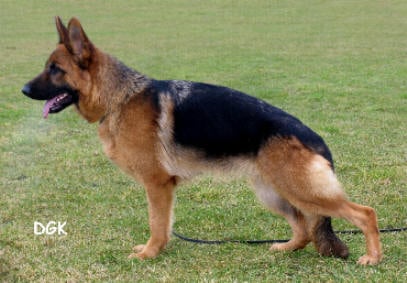 Sharon di Val del Lambro