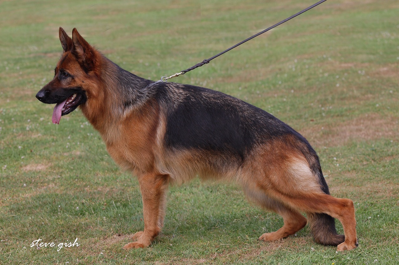 Zumba vom Lübzer Eldetal