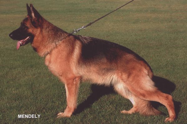 Aike zum Gigelsfelsen