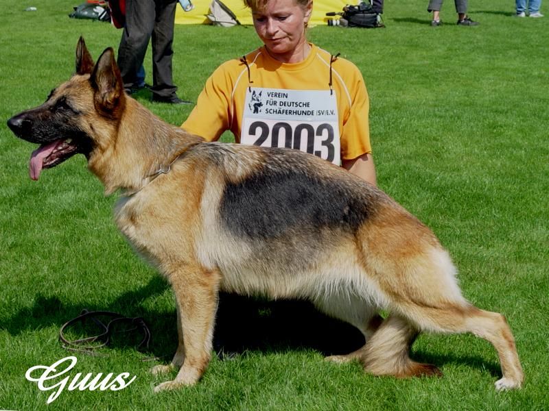 Farina von der Noriswand