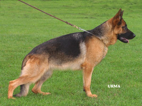 Walhalla vom Bierstadter Hof