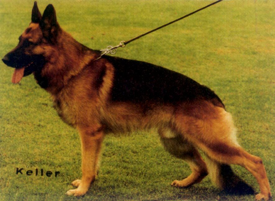 Kalle von der Noriswand