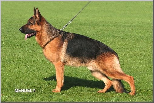 Visum von der Fürstenperle