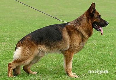 Fritz vom Farbenspiel