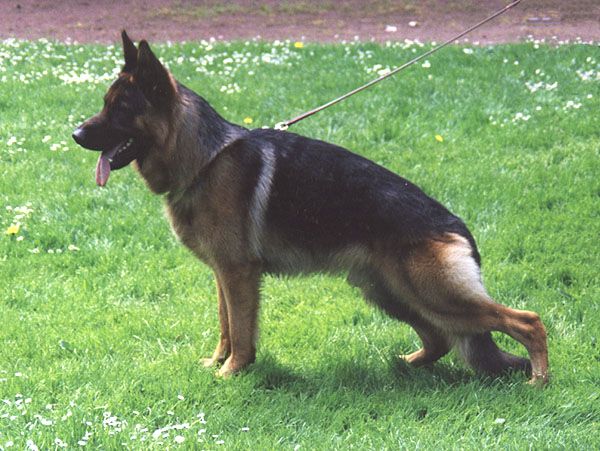 Kliff vom Trollbachtal