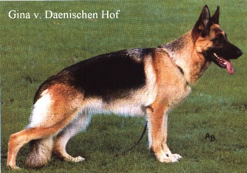 Gina vom Dänischen Hof