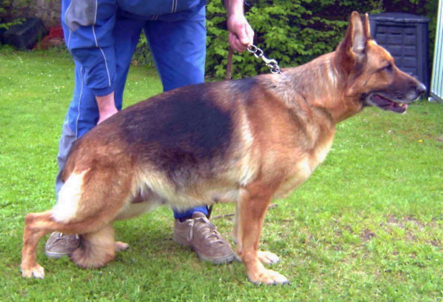 Perle vom Naturpark-Altmühltal