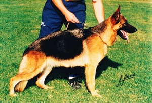 Xiu della Loggia dei Mercanti