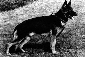 Arras von der Grüber-Hölle