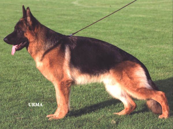 Bravos vom Steffen Haus