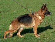 Isabell von Modithor