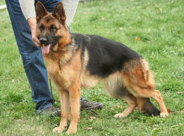 Hanka vom Müdesheimerland