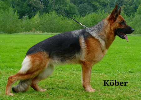 Mara aus Wattenscheid