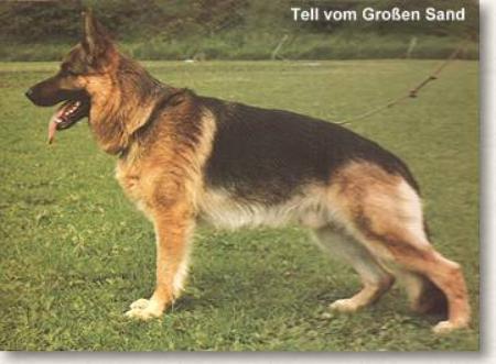 Tell vom Großen Sand